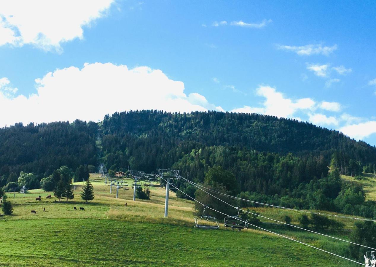 Apartament Le Nantoran Praz-sur-Arly Zewnętrze zdjęcie